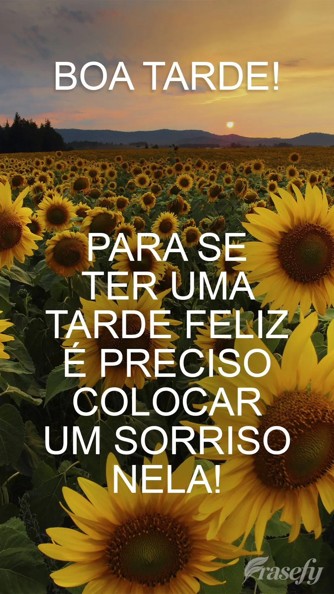 Para se ter uma tarde feliz é preciso colocar um sorriso nela!  Boa tarde!
