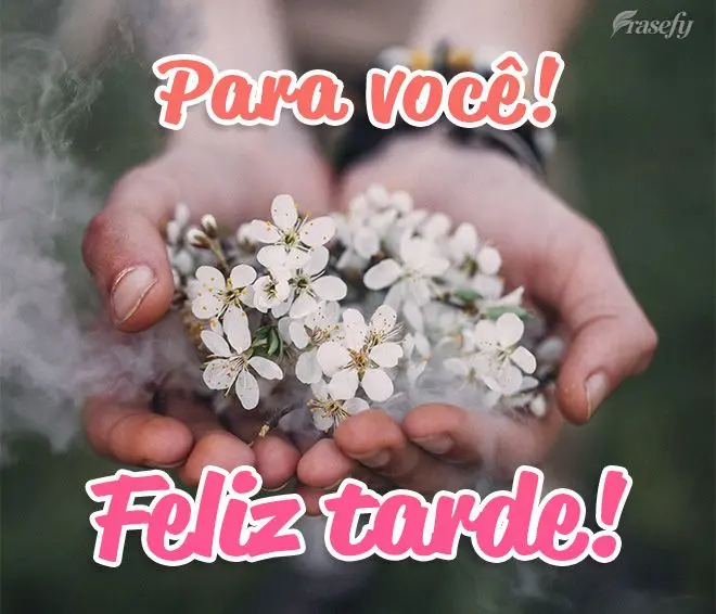 Para você! Feliz tarde!