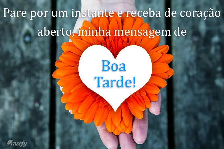 Pare por um instante e receba, de coração aberto, minha mensagem de  Boa Tarde!