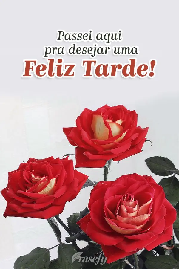 Passei aqui pra desejar uma Feliz Tarde!