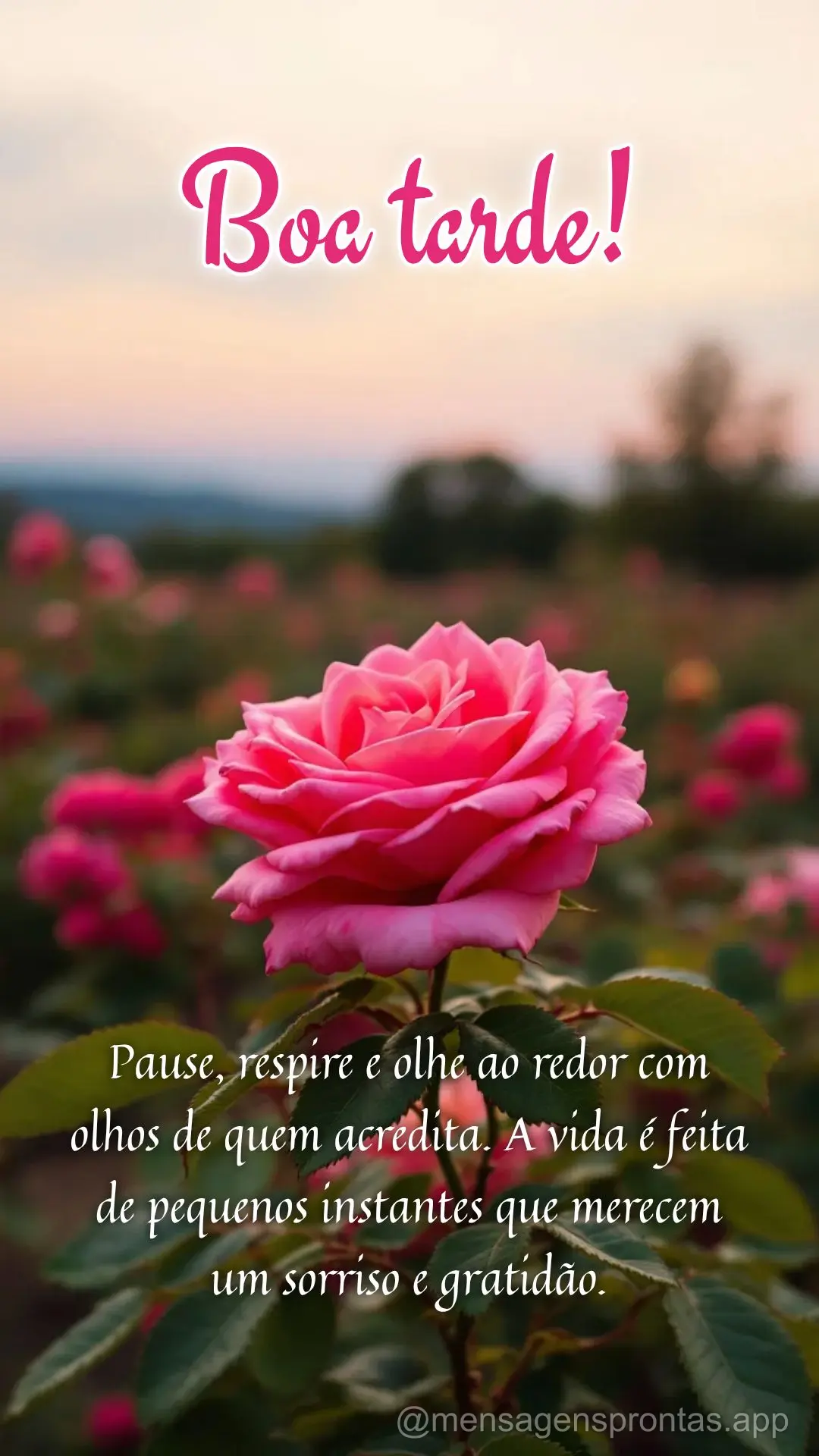 Pause, respire e olhe ao redor com olhos de quem acredita. A vida é feita de pequenos instantes que merecem um sorriso e gratidão. Boa tarde!