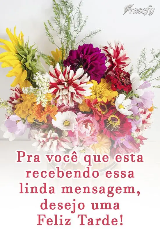 Pra você que está recebendo essa linda mensagem, desejo uma Feliz Tarde!
