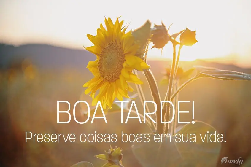  Preserve coisas boas em sua vida! Boa tarde!