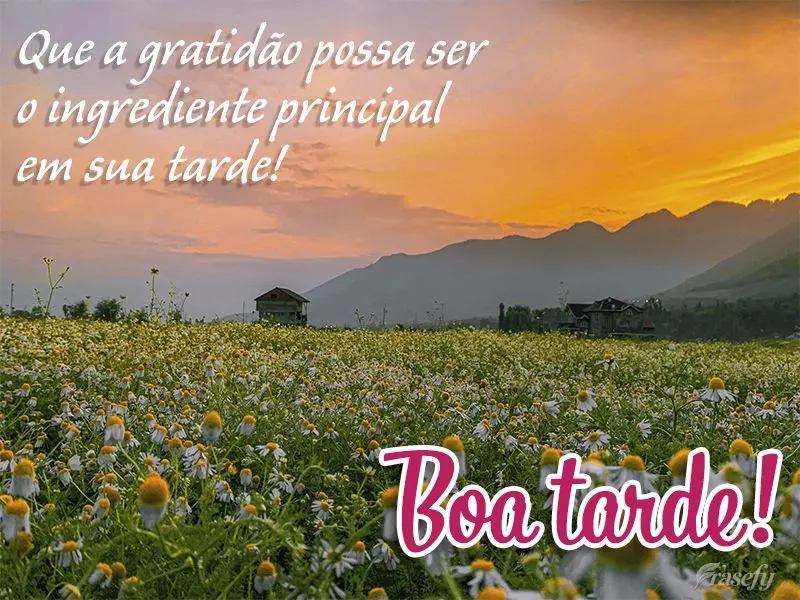 Que a gratidão possa ser o ingrediente principal em sua tarde! Boa tarde! 