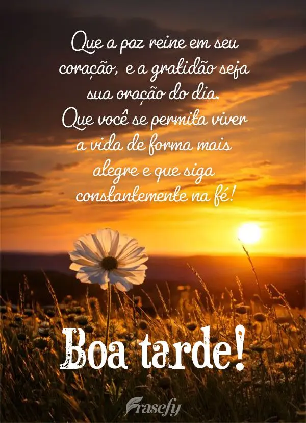 Que a paz reine em seu coração, e a gratidão seja sua oração do dia. Que você se permita viver a vida de forma mais alegre e que siga constantement...
