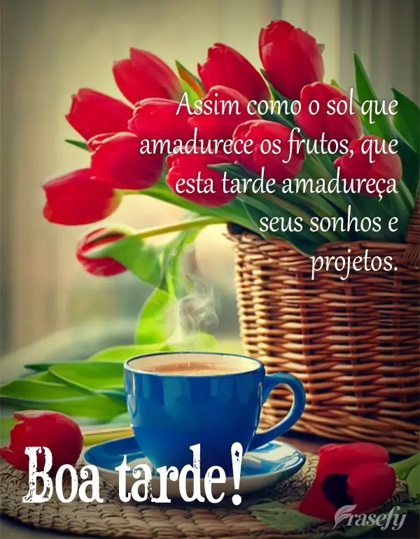 Que a serenidade desta tarde traga um novo fôlego para suas esperanças e um novo brilho para seu sorriso. Boa tarde!
