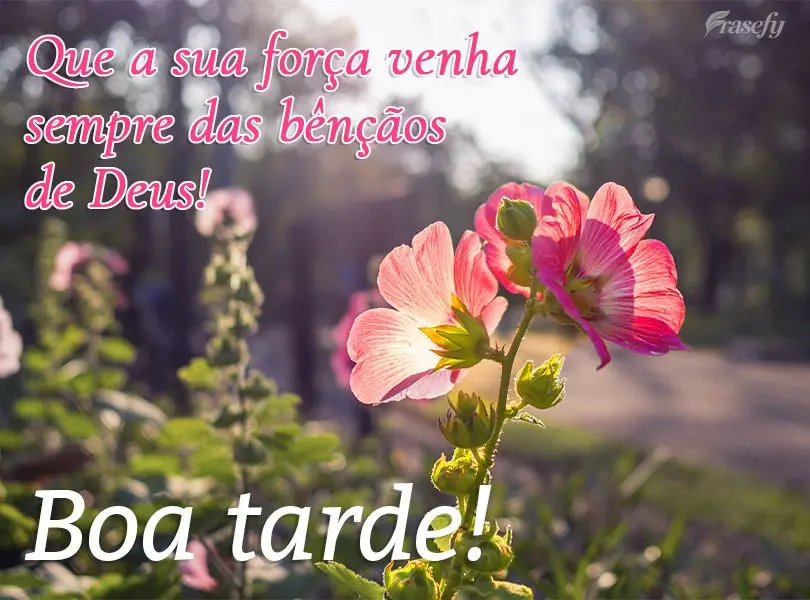 Que a sua força venha sempre das bênçãos de Deus! Boa tarde!