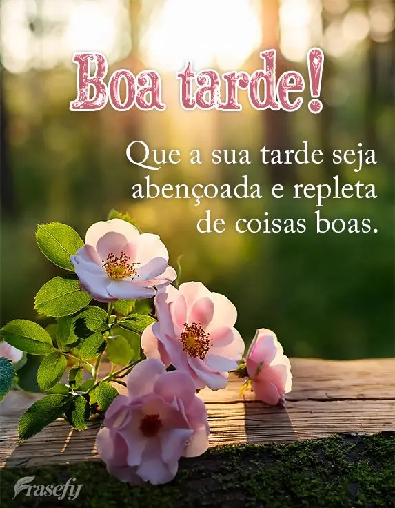 Que a sua tarde seja abençoada e repleta de coisas boas. Boa tarde!