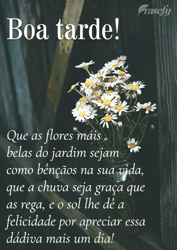 Que as flores mais belas do jardim sejam como bênçãos na sua vida. Que a chuva seja graça que as rega, e o sol lhe dê a felicidade por apreciar essa...