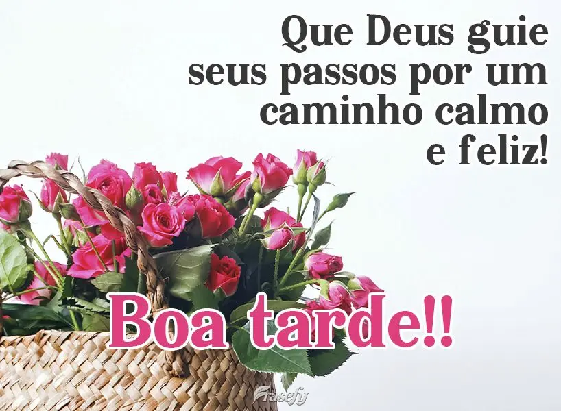 Que Deus guie seus passos por um caminho calmo e feliz!  Boa tarde!