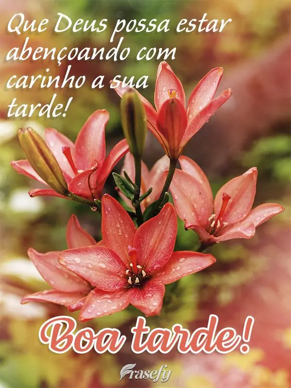 Que Deus possa abençoar com carinho a sua tarde! Boa tarde!