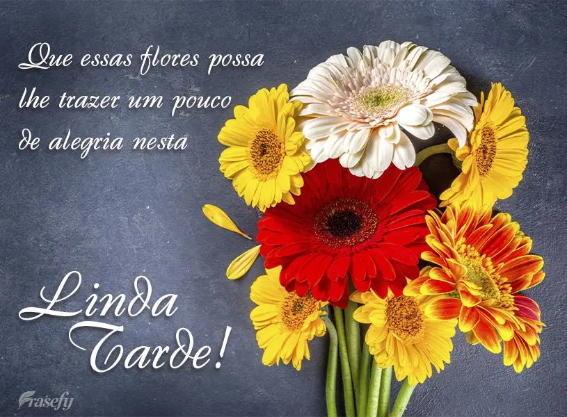 Que essas flores possa lhe trazer um pouco de alegria nesta linda tarde!