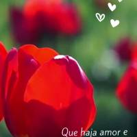 Que haja amor e alegria para encantar seus olhos e acalentar seu coração! Boa tarde!