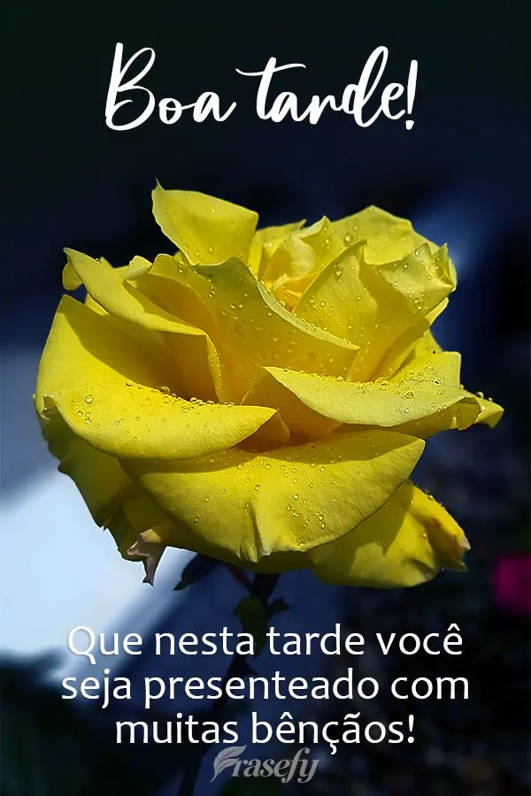Que nesta tarde você seja presenteado com muitas bênçãos! Boa tarde! 