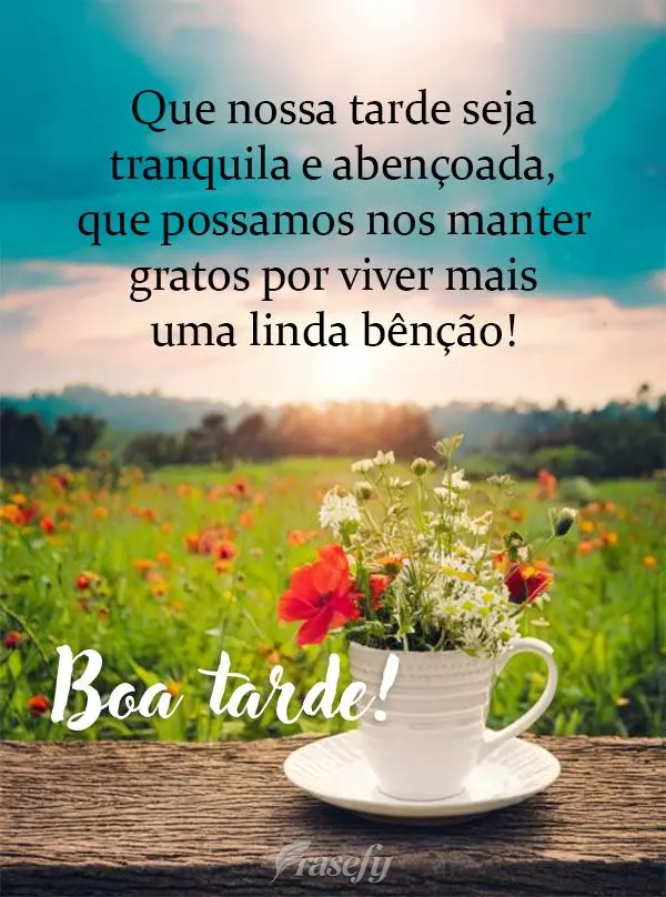 Que nossa tarde seja tranquila e abençoada, que possamos nos manter gratos por viver mais uma linda bênção! Boa tarde!