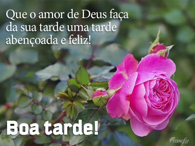 Que o amor de Deus faça da sua tarde uma tarde abençoada e feliz! Boa tarde!