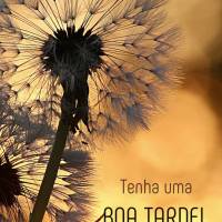 Que o amor de Deus prevaleça nesta maravilhosa tarde e adentre em seu coração os sentimentos mais lindos que você possa receber! Tenha uma boa tarde!...