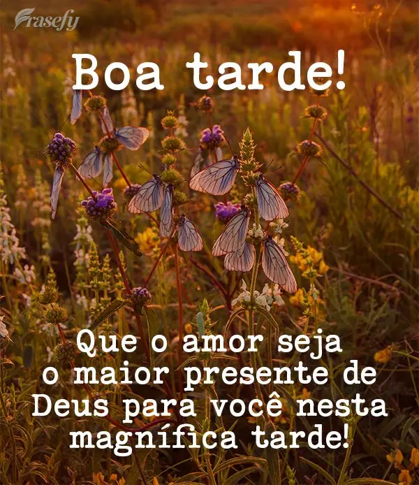 Que o amor seja o maior presente de Deus para você nesta magnífica tarde! Boa tarde! 