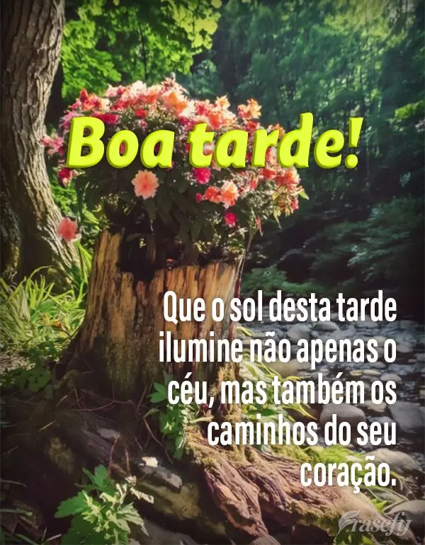 Que o sol desta tarde ilumine não apenas o céu, mas também os caminhos do seu coração. Boa tarde!