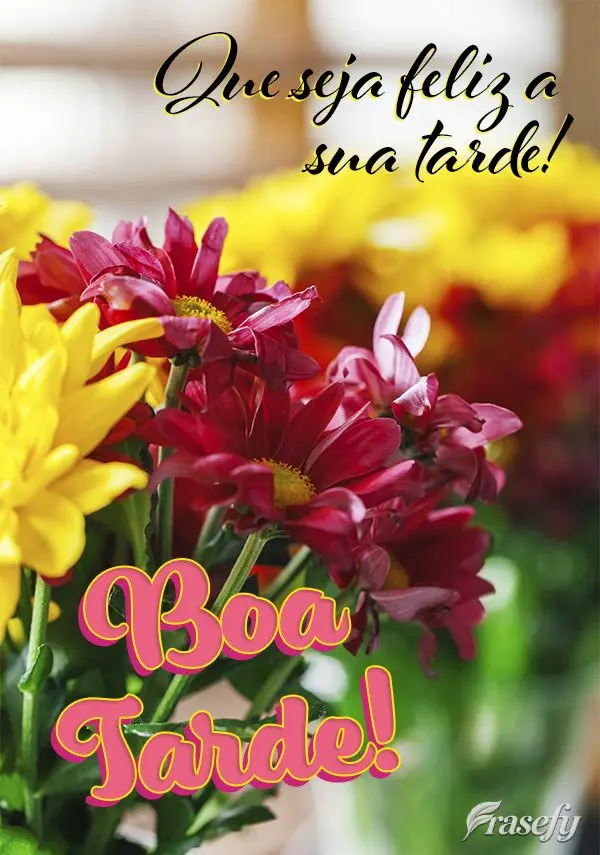 Que seja feliz a sua tarde! Boa tarde!