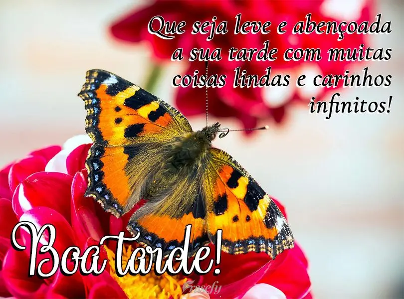 Que seja leve e abençoada a sua tarde com muitas coisas lindas e carinhos infinitos! Boa tarde!