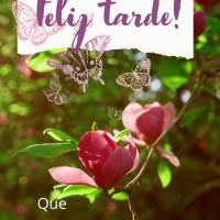 Que seja tranquila a sua tarde, e que venham muitas bênçãos para alegrar o seu dia! Feliz tarde! 