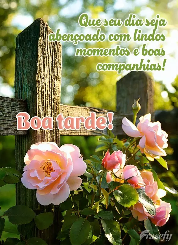 Que seu dia seja abençoado com lindos momentos e boas companhias! Boa tarde!