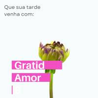 Que sua tarde venha com: Gratidão, Amor e Bênçãos!