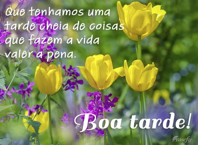 Que tenhamos uma tarde cheia de coisas que fazem a vida valer a pena.  Boa tarde!
