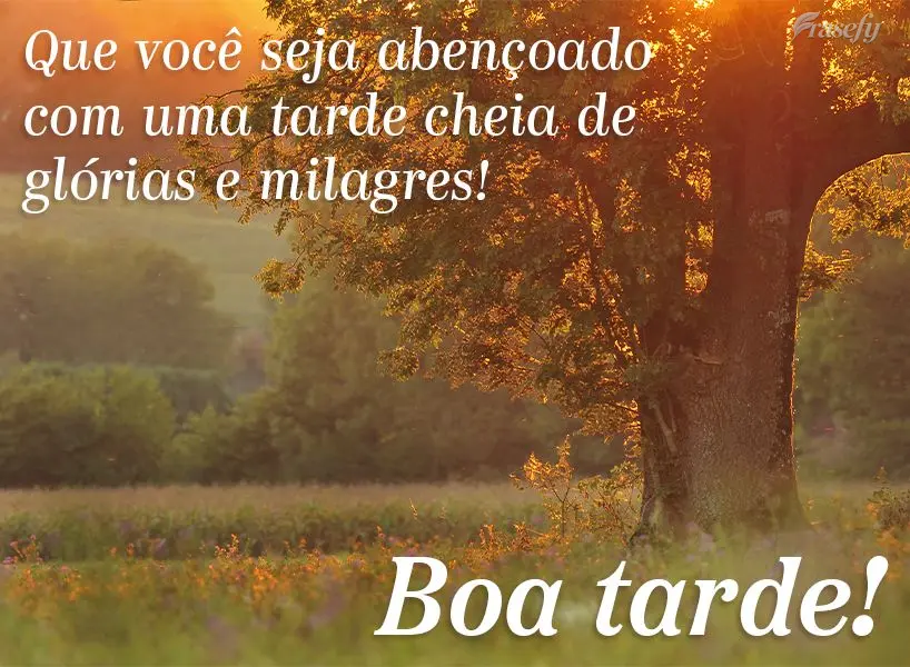 Que você seja abençoado com uma tarde cheia de glórias e milagres! Boa tarde!