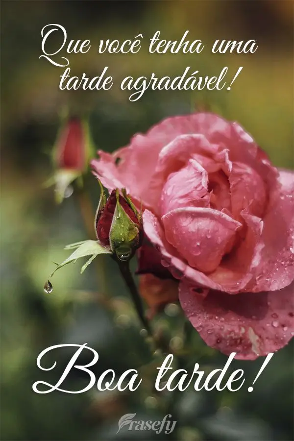Que você tenha uma tarde agradável! Boa tarde!