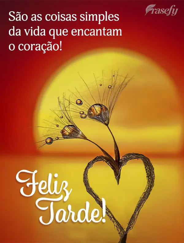 São as coisas simples da vida que encantam o coração! Feliz tarde!