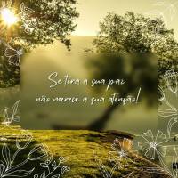 Se tira a sua paz não merece a sua atenção! Boa tarde! 