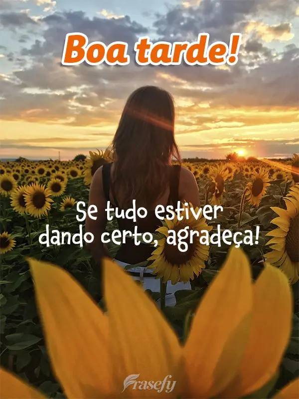 Se tudo estiver dando certo, agradeça! Boa tarde!