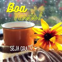 Seja grato por esta linda tarde! Boa tarde!