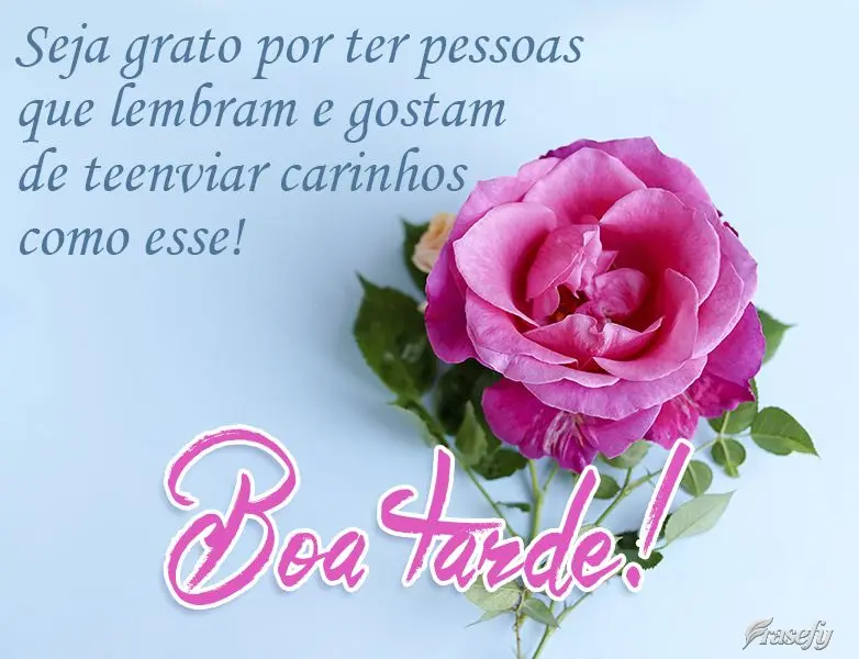 Seja grato por ter pessoas que lembram e gostam de te enviar carinhos como esse! 
 Boa tarde! 