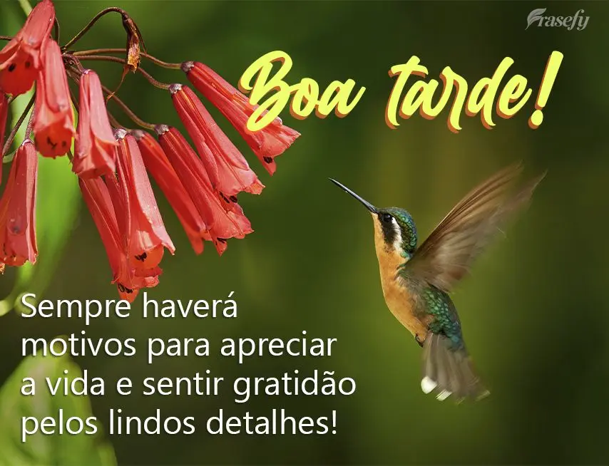 Sempre haverá motivos para apreciar a vida e sentir gratidão pelos lindos detalhes! Boa tarde!