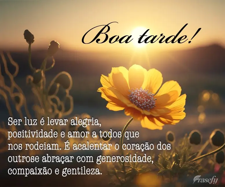 Ser luz é levar alegria, positividade e amor a todos que nos rodeiam. É acalentar o coração dos outros e abraçar com generosidade, compaixão e gent...