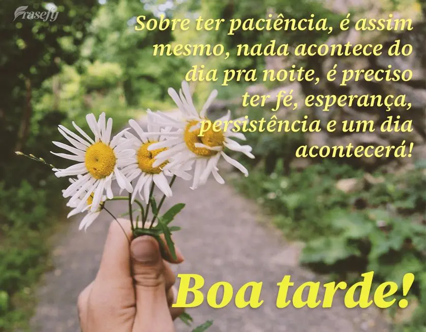 Sobre ter paciência, é assim mesmo, nada acontece do dia pra noite, é preciso ter fé, esperança, persistência e um dia acontecerá! Boa tarde!