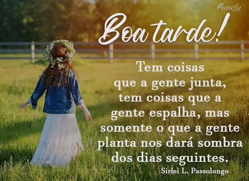 Tem coisas que a gente junta, tem coisas que a gente espalha. Mas somente o que a gente planta nos dará sombra dos dias seguintes. Boa tarde! Sirlei L. ...