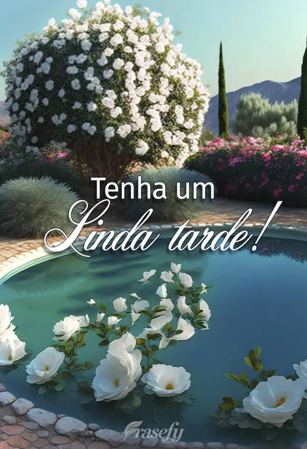 Tenha um Linda tarde!