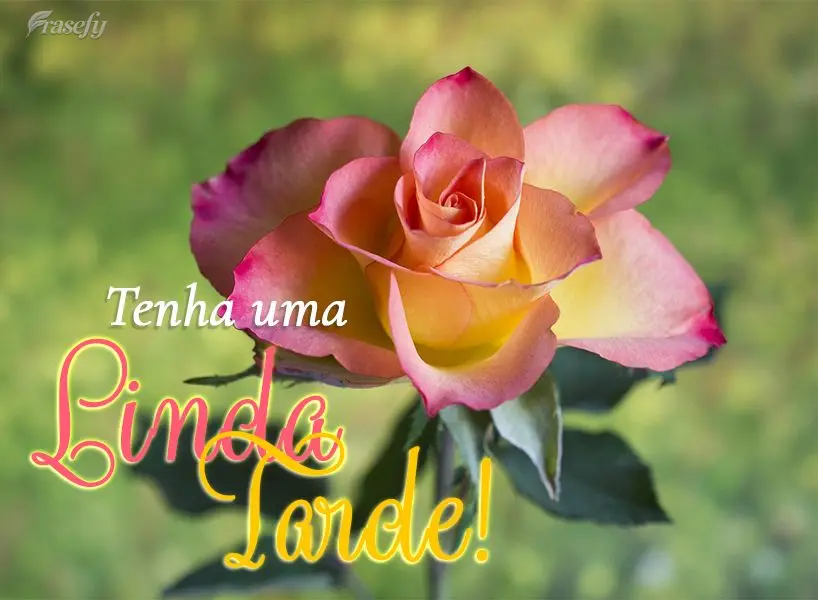 Tenha uma linda tarde!