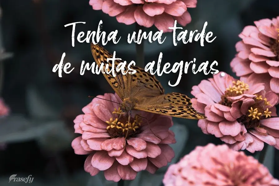 Tenha uma tarde de muitas alegrias.