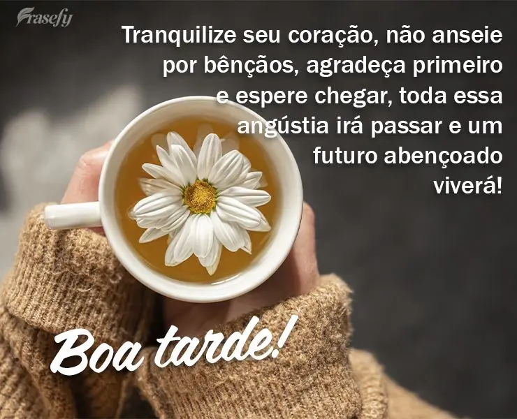 Tranquilize seu coração, não anseie por bênçãos, agradeça primeiro e espere chegar, toda essa angústia irá passar e um futuro abençoado viverá...