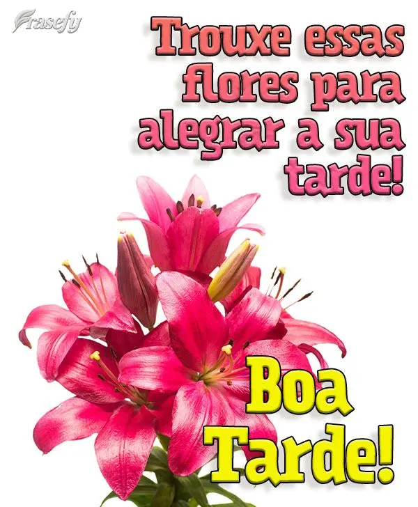 Trouxe essas flores para alegrar a sua tarde! Boa tarde!
