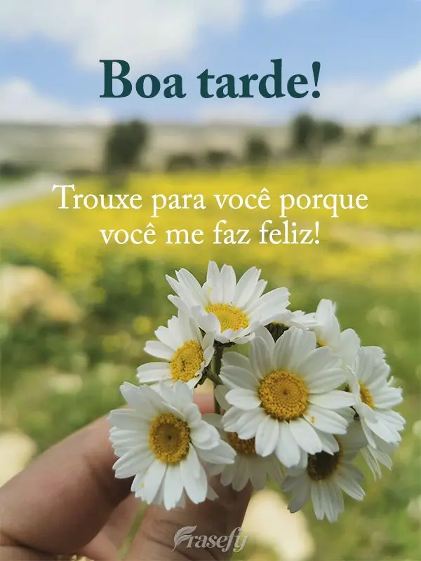 Trouxe para você porque você me faz feliz! Boa tarde!