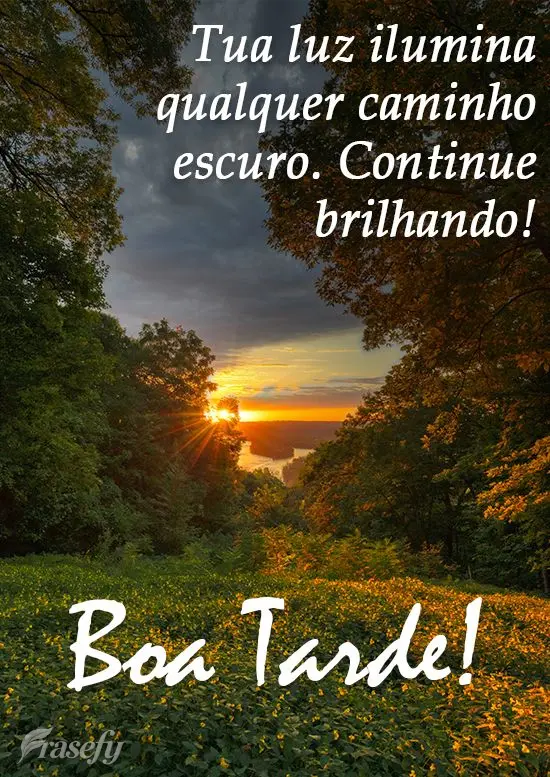 Tua luz ilumina qualquer caminho escuro, continue brilhando! 
 Boa Tarde!