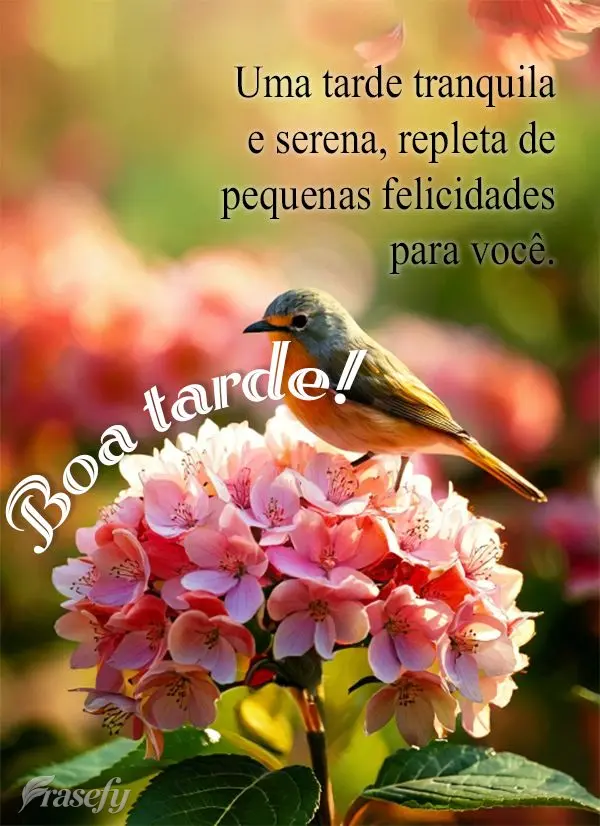 Uma tarde tranquila e serena, repleta de pequenas felicidades para você. Boa tarde!