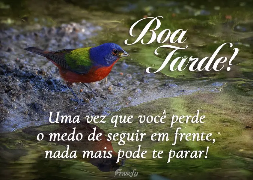 Uma vez que você perde o medo de seguir em frente, nada mais pode te parar! Boa tarde! 