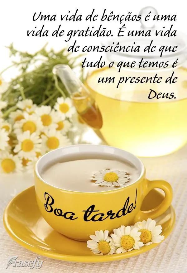 Uma vida de bênçãos é uma vida de gratidão. É uma vida de consciência de que tudo o que temos é um presente de Deus. Boa tarde!